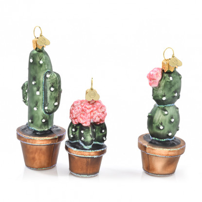 Little Cacti Little Cacti